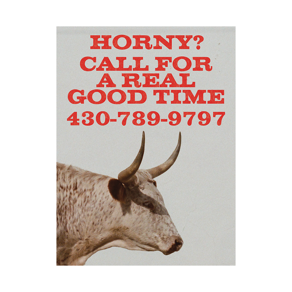 Dry Spell Bull Poster